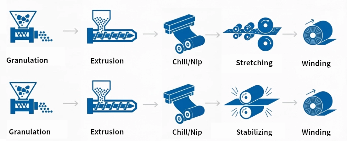 Casting Film Process