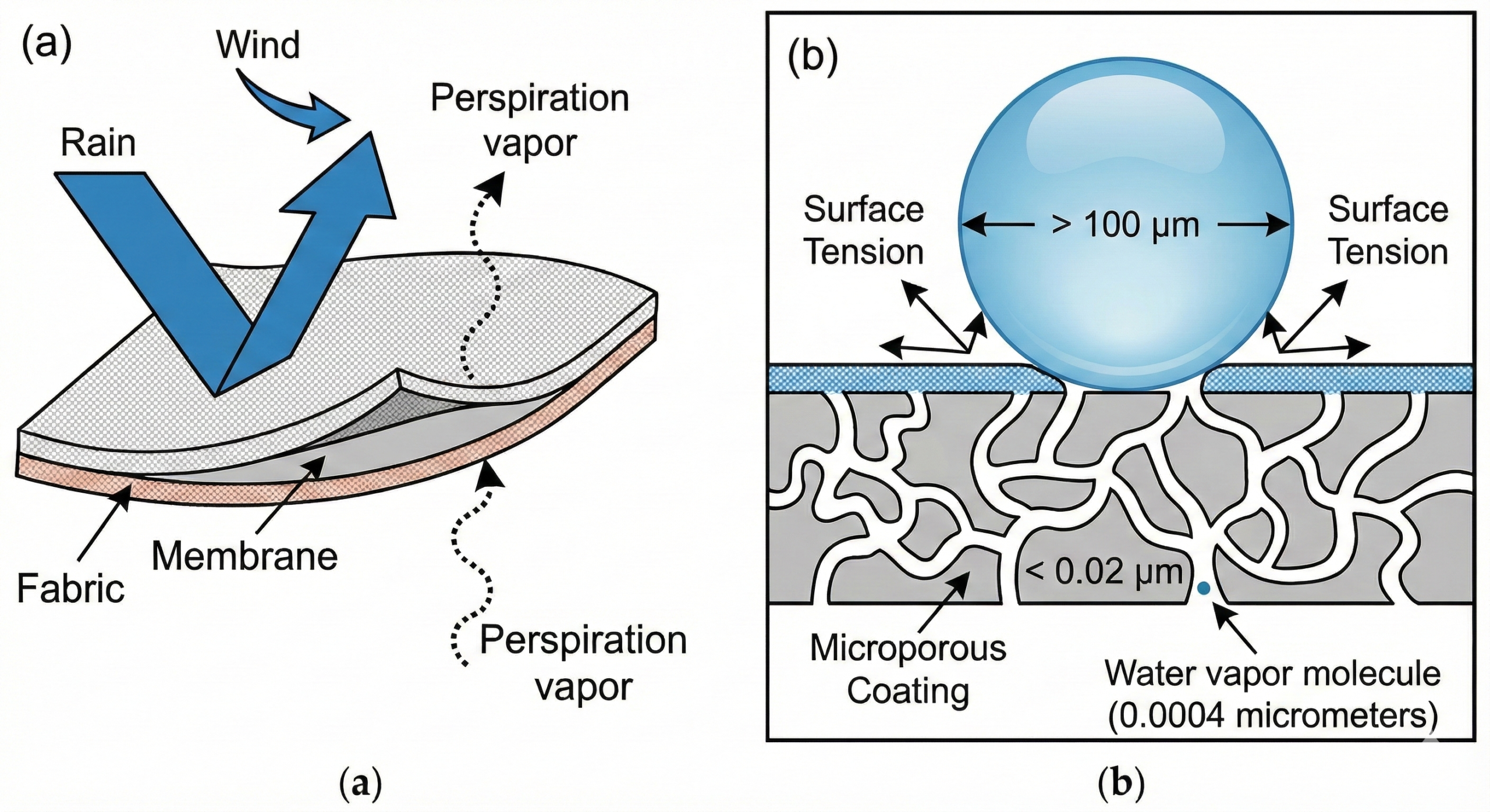 The Physics Behind the "Perfect Hole": Scale and Surface Tension