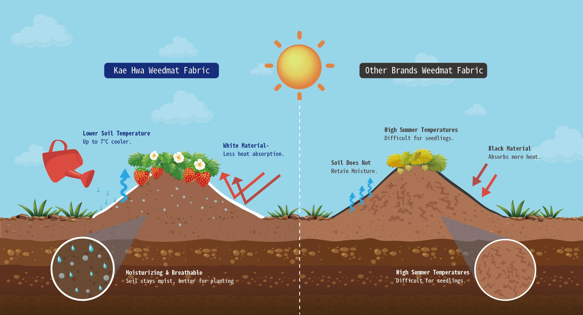 AgriGuard breathable mulch fabric compared with conventional weed-control fabric